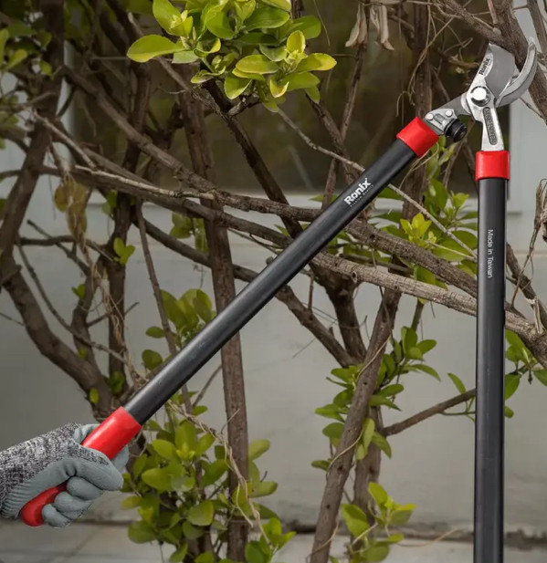 قیچی شاخه زن رونیکس مدل RH-3115 تایوان